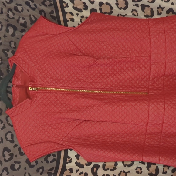 Ashley Stewart Quilted Dress - Picture 1 of 5